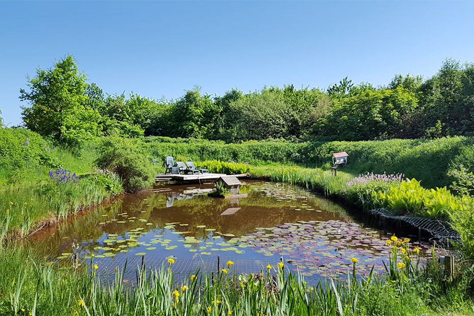 Foto aus der Fotogruppe 