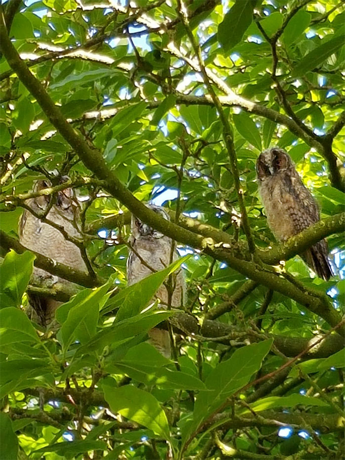 Foto aus der Fotogruppe 