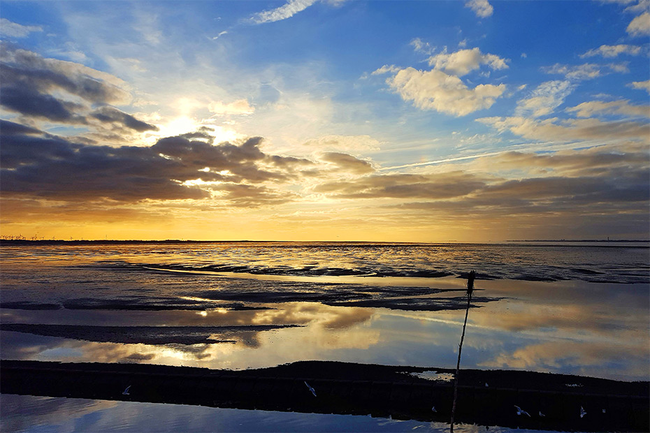 Foto aus der Fotogruppe 